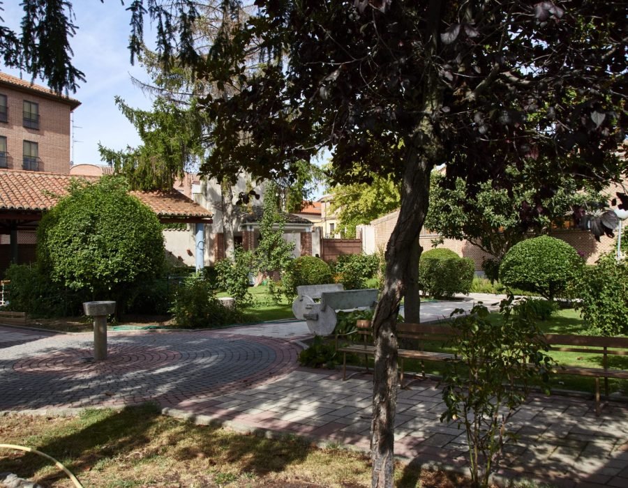 Varios buenas procesadas 8